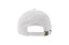 DAD HAT DESTROYED-S